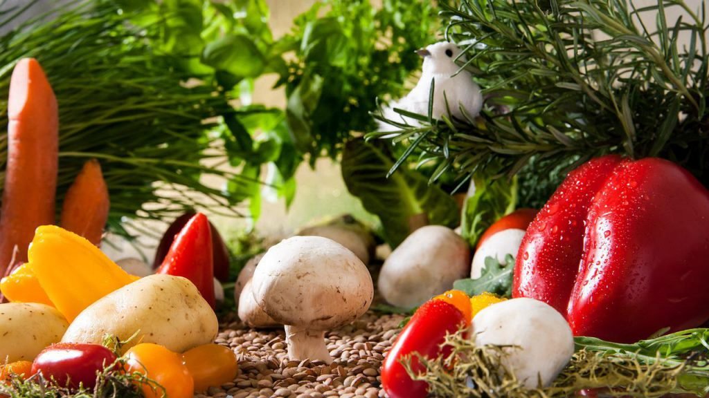 casa de reposo de salud mental en trujillo con alimentacion saludable